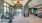 Open Gym Space with Treadmill and Exercise Balls at The Rockwell